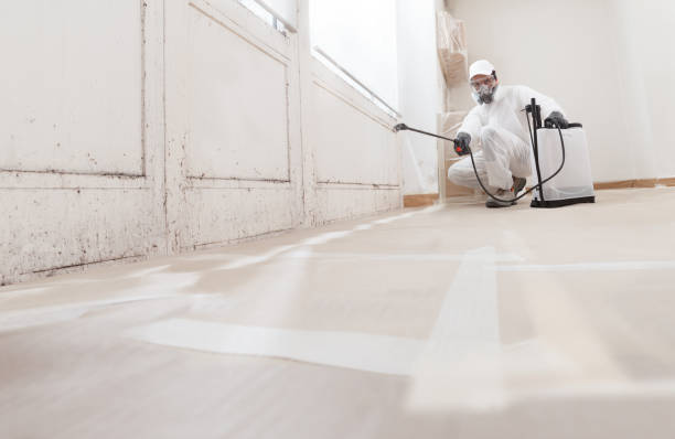 24/7 Emergency Attic Mold Remediation experts in Freeman, VA