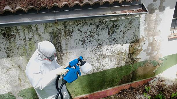 Top rated local Attic Mold Remediation specialists in Freeman, VA